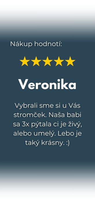 recenzia na umelý stromček - Veronika